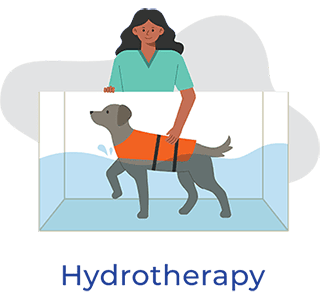 icon referral hydrotherapy