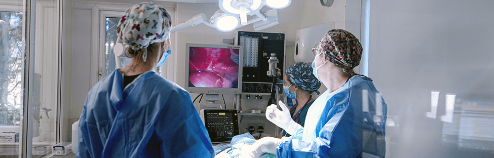 Laparoscopic keyhole spay at Brentknoll Vets in Worcester