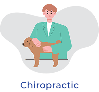 icon referral chiropractic